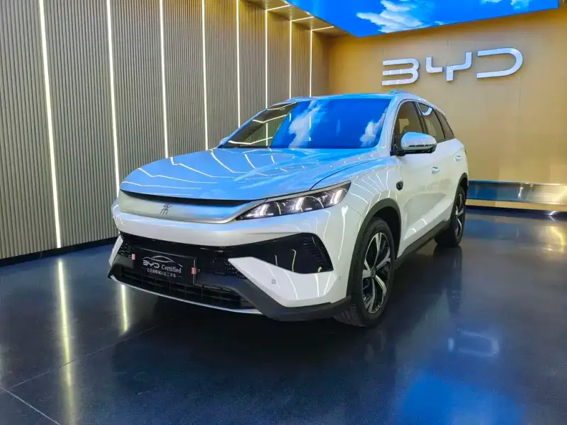 BYD Pro New Energy, 2025