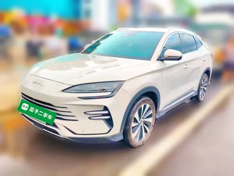 BYD PLUS New Energy, 2024