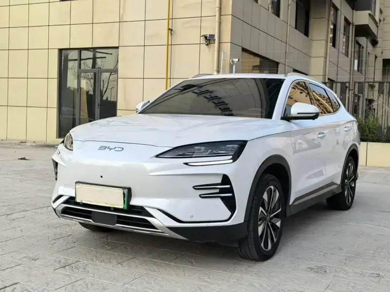 BYD PLUS New Energy, 2024