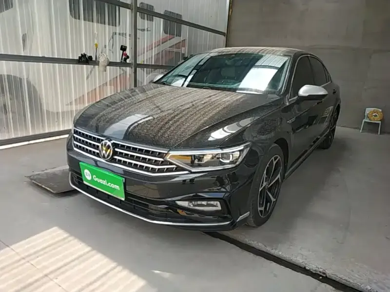Volkswagen Magotan, 2024
