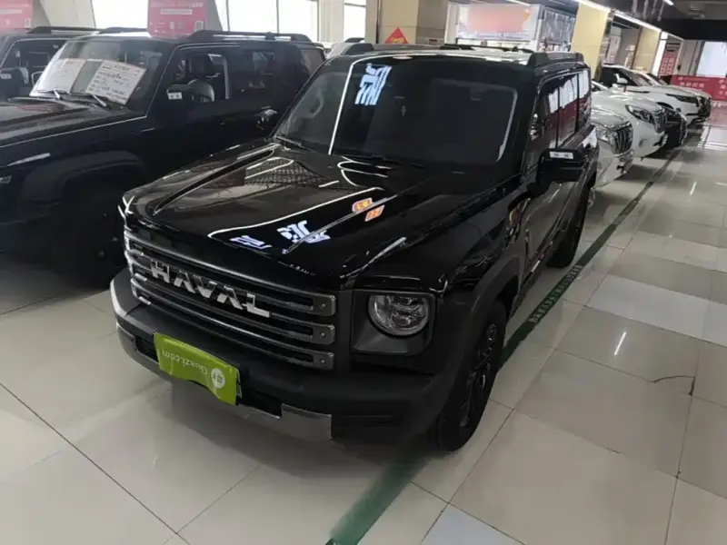 Haval Menglong New Energy, 2025