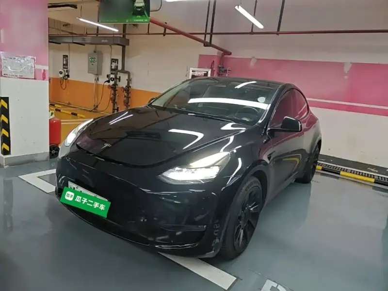 Tesla Model Y, 2021