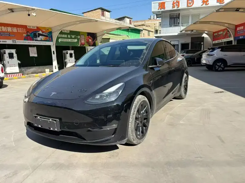 Tesla Model Y, 2021