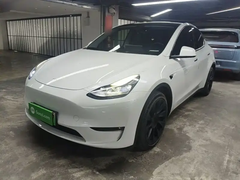 Tesla Model Y, 2021