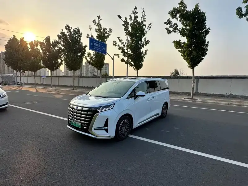 Denza D9, 2024