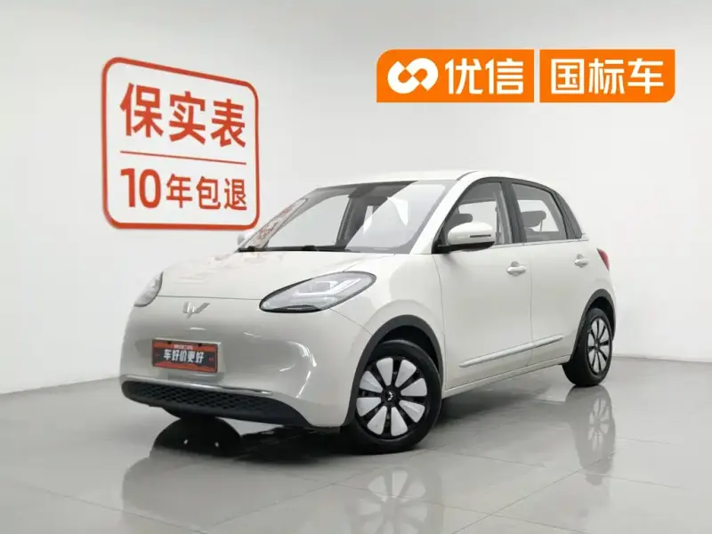 Wuling Bingo, 2023