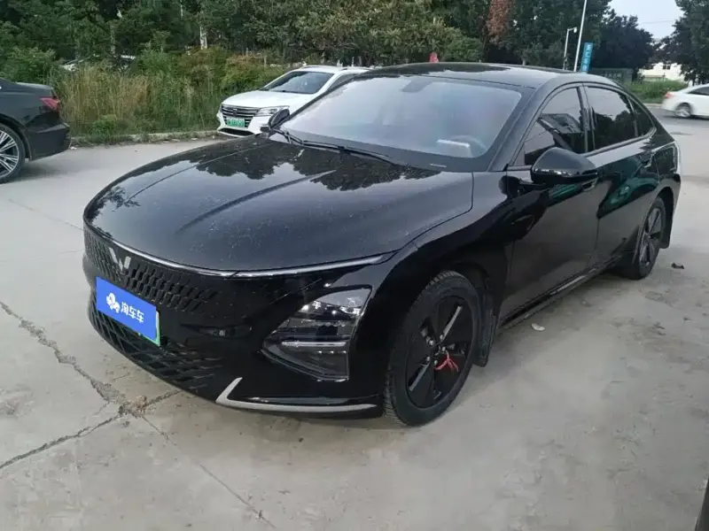 Wuling Xingguang, 2024