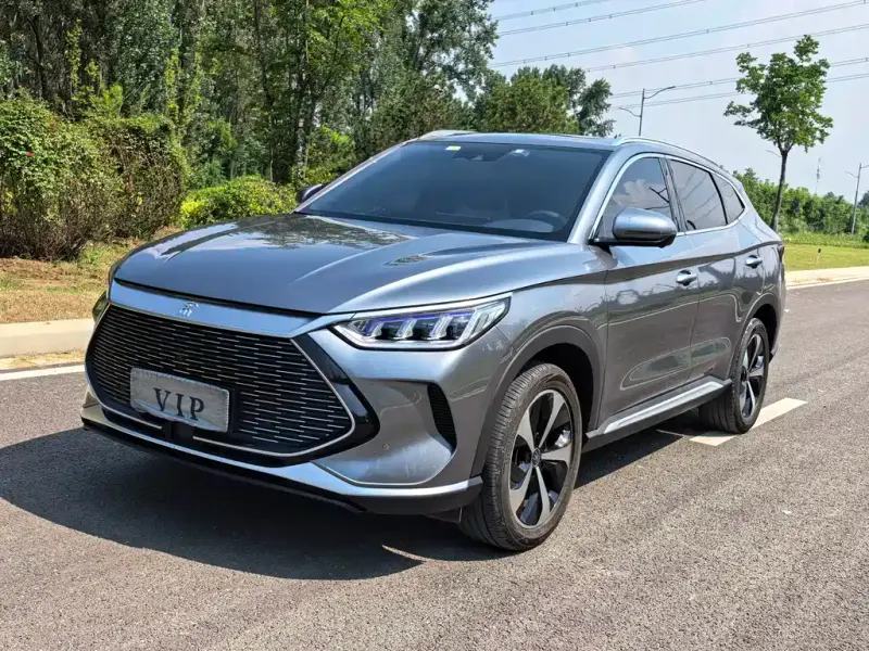 BYD PLUS New Energy, 2021