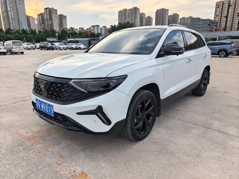 Jetta VS7, 2022