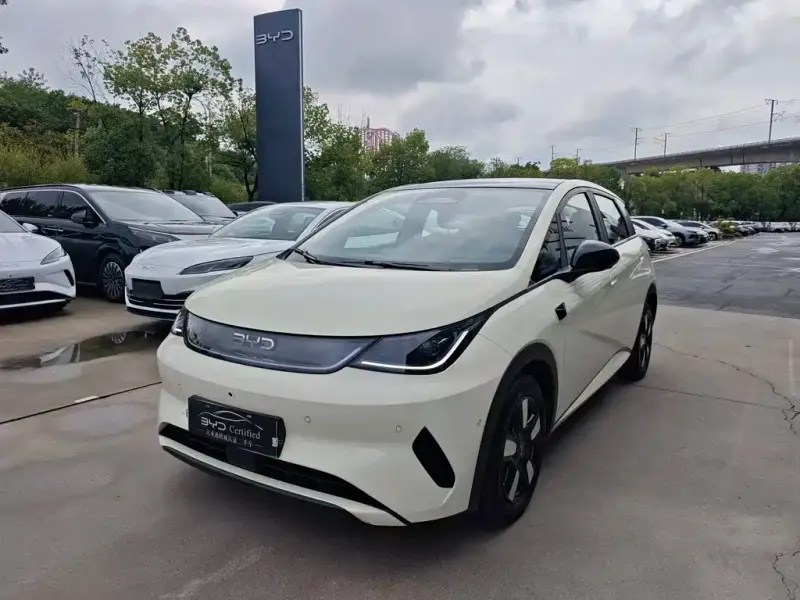 BYD Dolphin, 2025