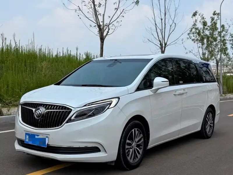 Buick GL8, 2019
