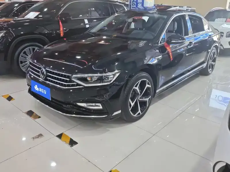 Volkswagen Magotan, 2024