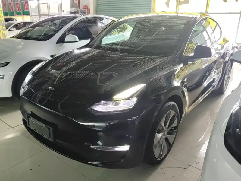 Tesla Model Y, 2021
