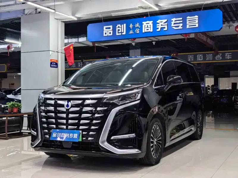 Denza D9, 2024