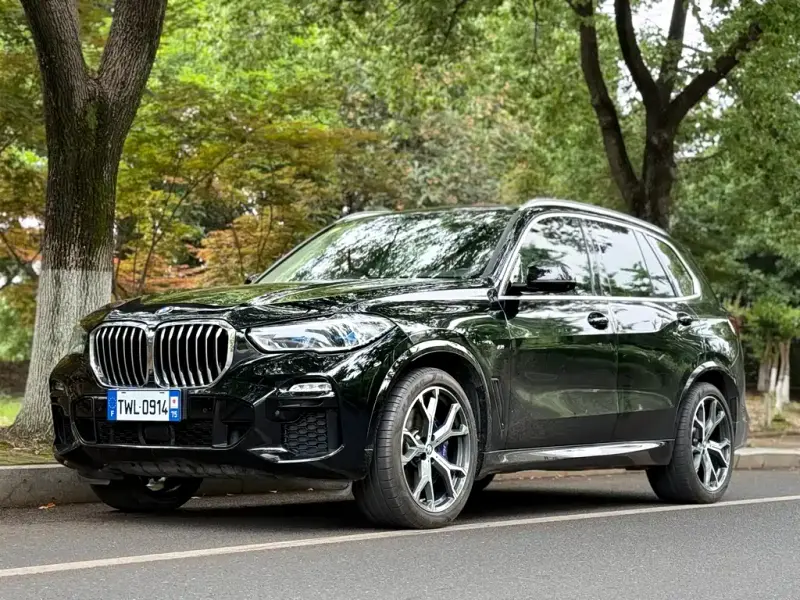 BMW X5 (Import), 2019