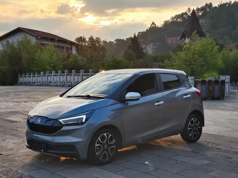 JMEV EV3, 2021