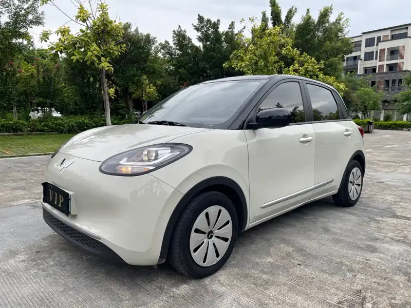 Wuling Bingo, 2023
