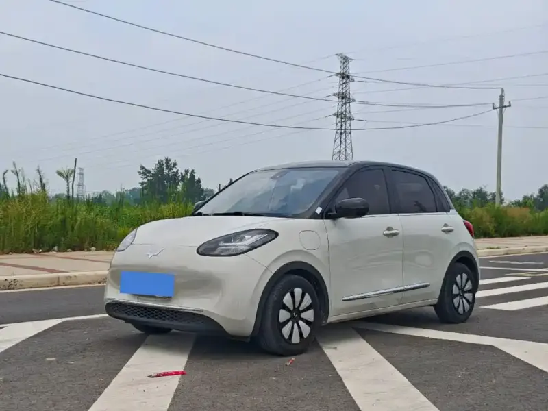 Wuling Bingo, 2023