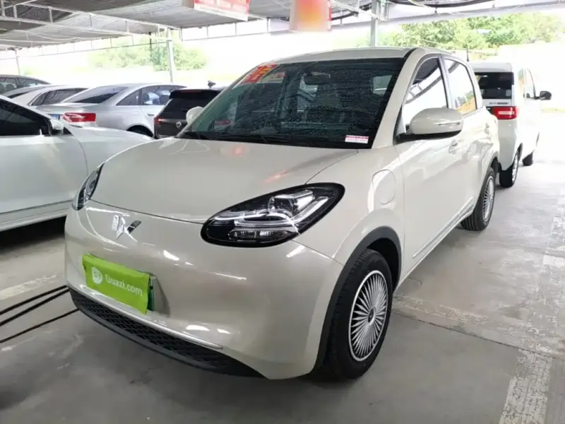 Wuling Bingo, 2024