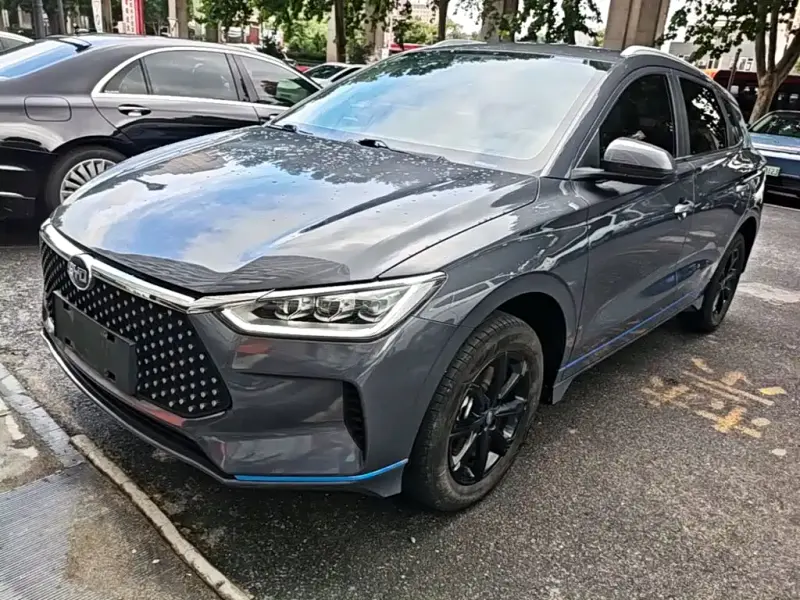 BYD e2, 2021