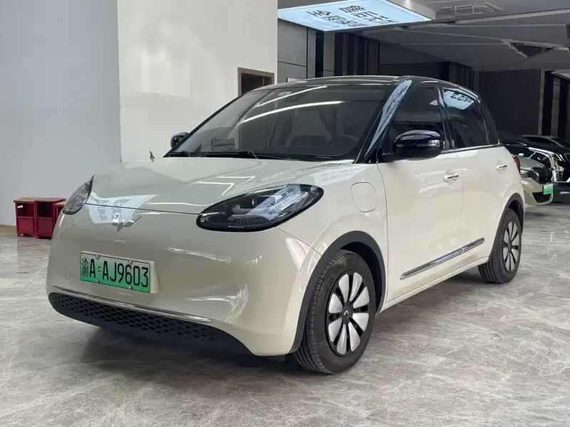 Wuling Bingo, 2023