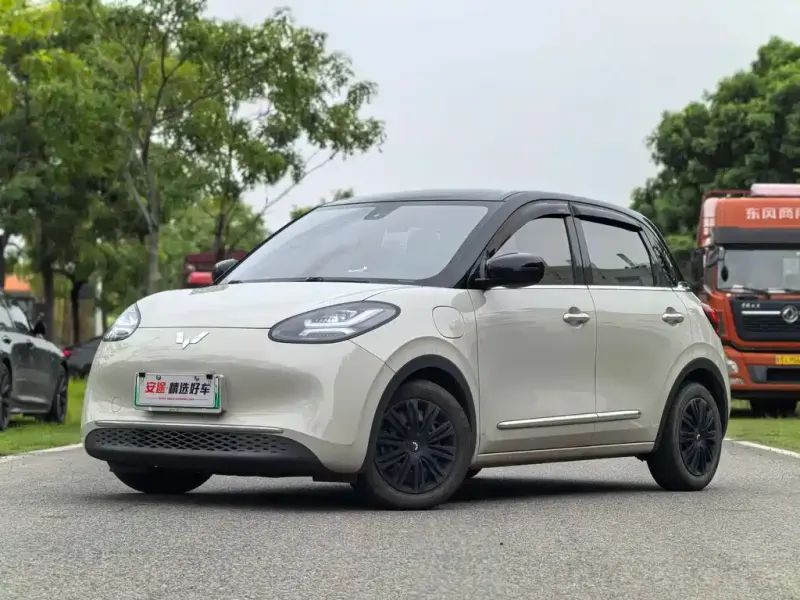 Wuling Bingo, 2023