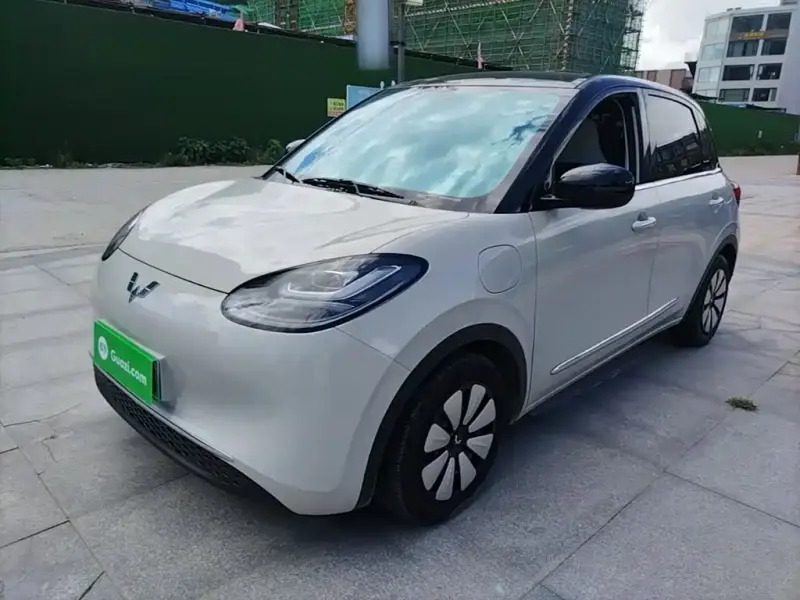 Wuling Bingo, 2024