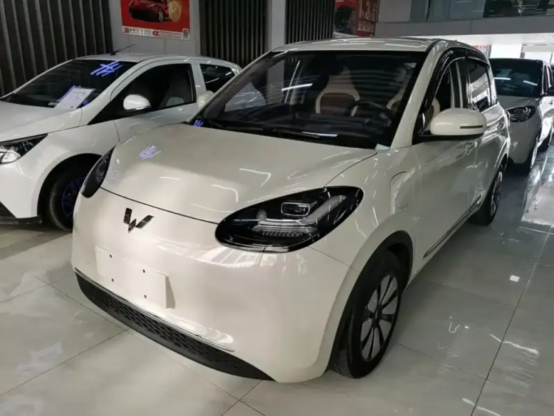 Wuling Bingo, 2024
