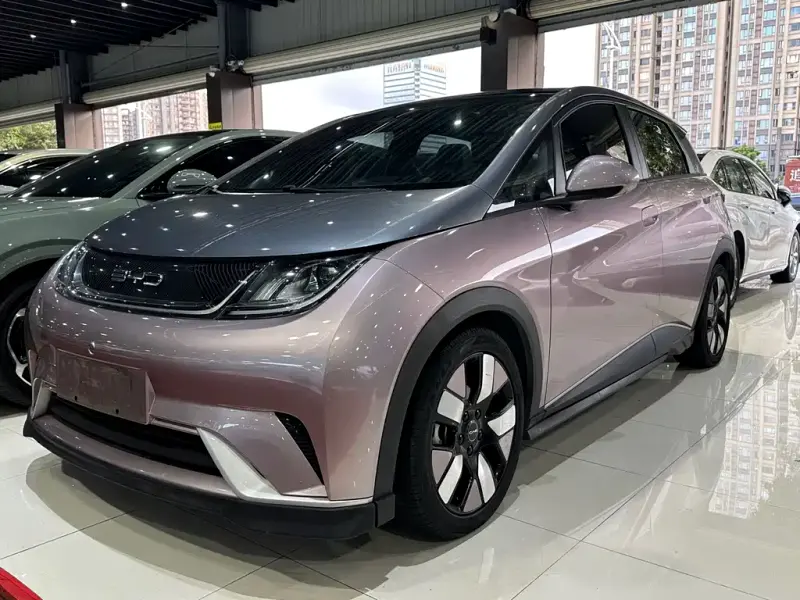 BYD Dolphin, 2021