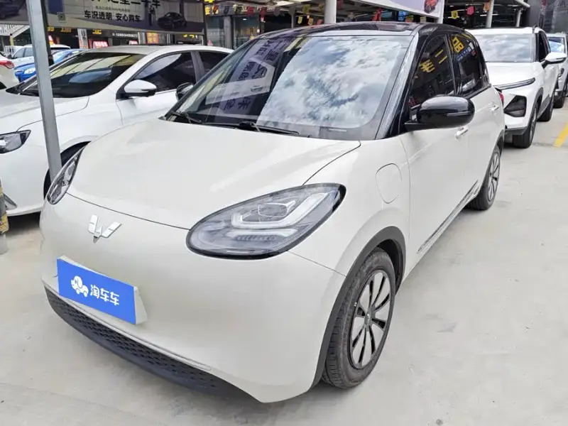 Wuling Bingo, 2023
