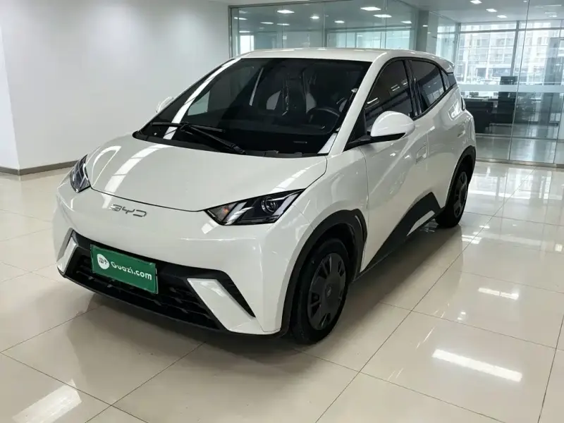 BYD Seagull, 2024