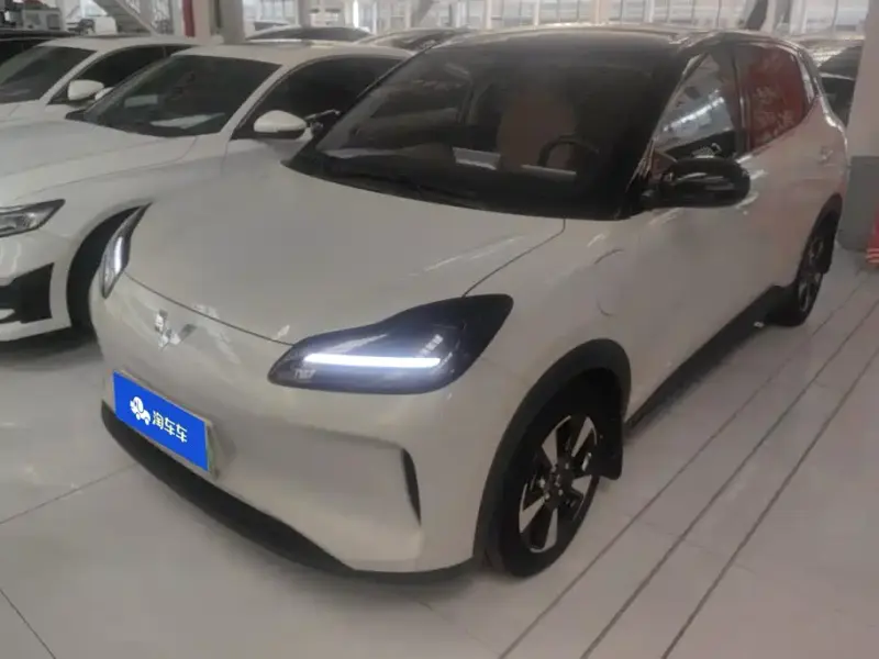 Wuling Bingo PLUS, 2024
