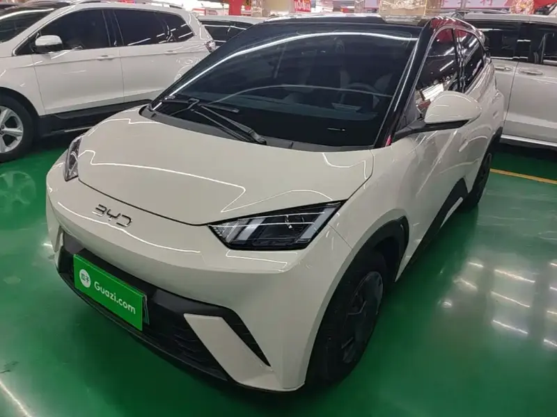 BYD Seagull, 2024