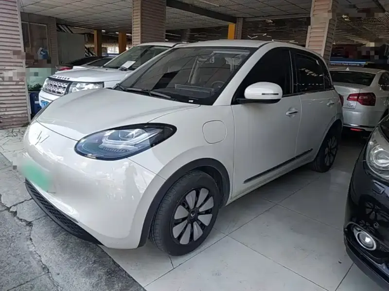 Wuling Bingo, 2024