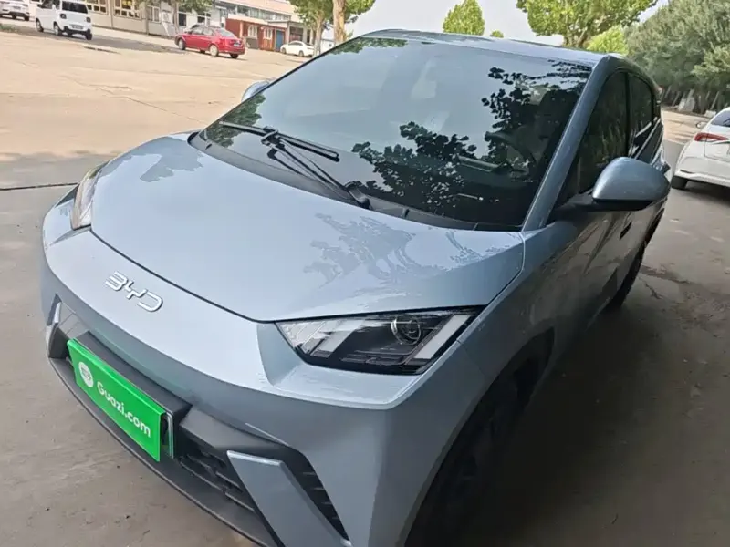 BYD Seagull, 2024