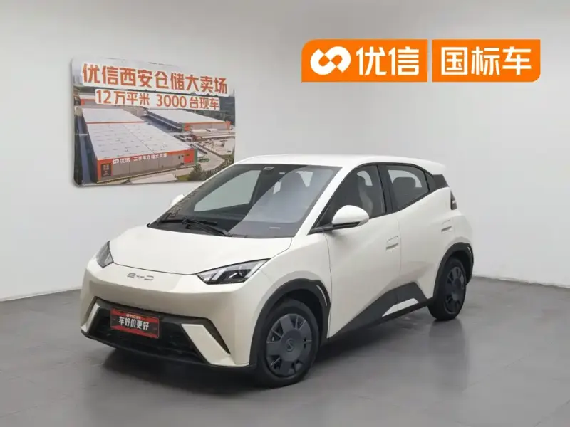 BYD Seagull, 2025