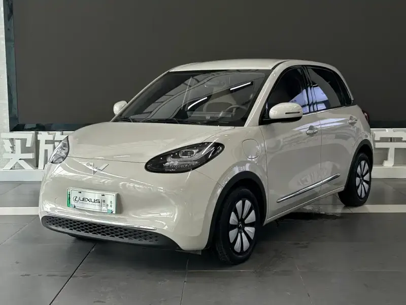 Wuling Bingo, 2025