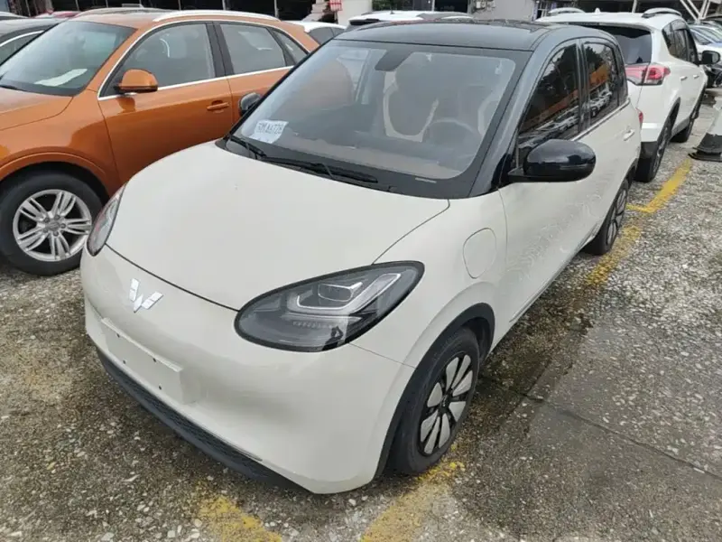 Wuling Bingo, 2024