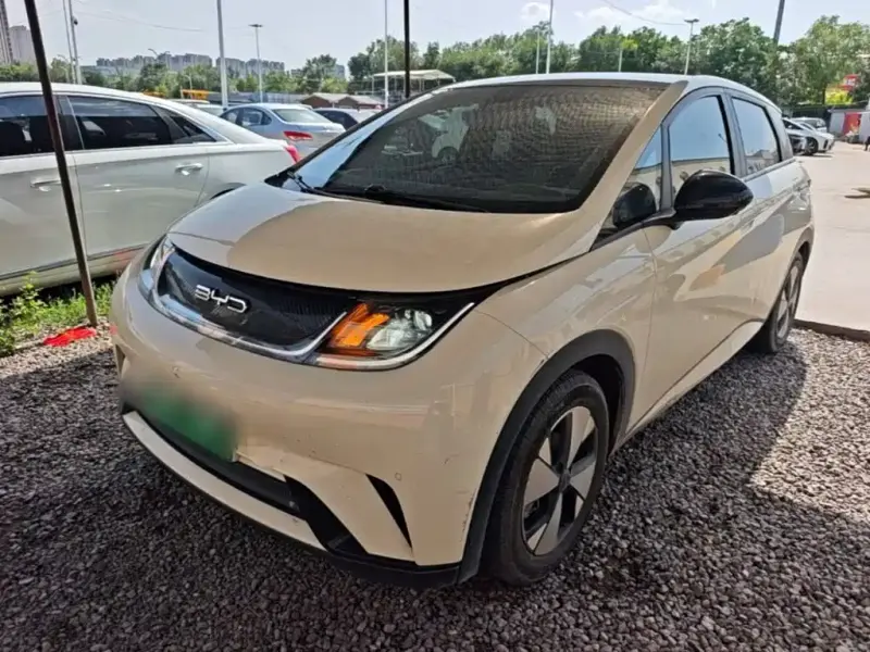 BYD Dolphin, 2023