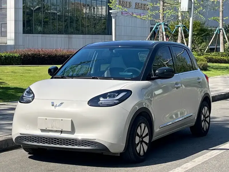 Wuling Bingo, 2025