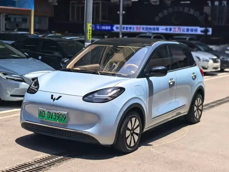 Wuling Bingo, 2025