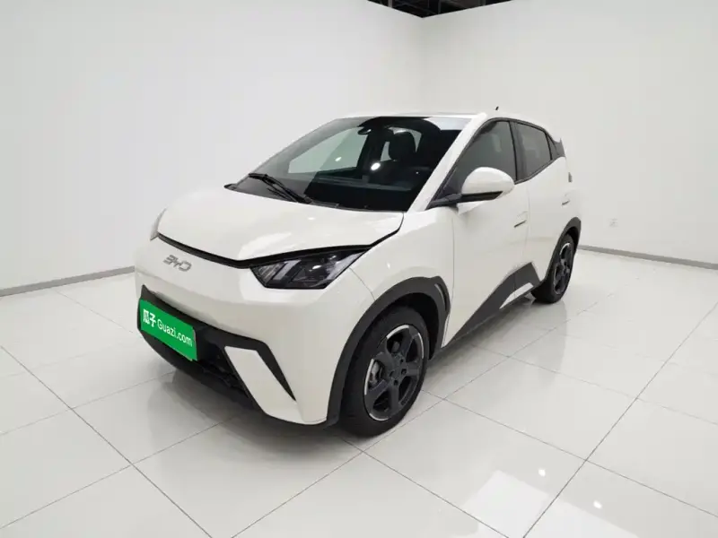 BYD Seagull, 2024