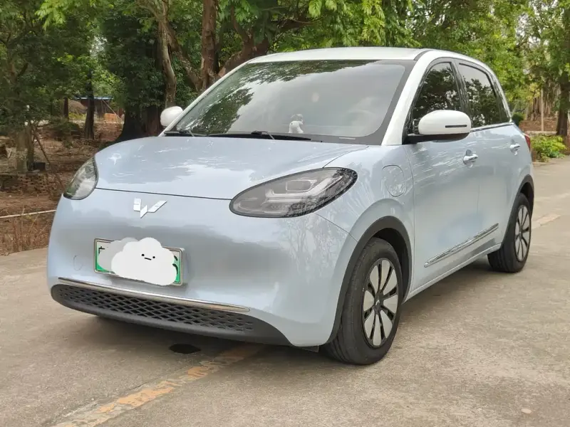 Wuling Bingo, 2024