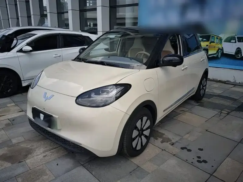 Wuling Bingo, 2025