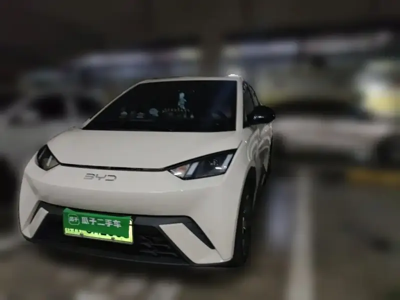 BYD Seagull, 2024
