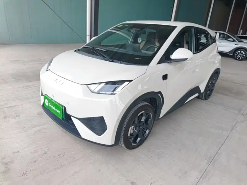BYD Seagull, 2025