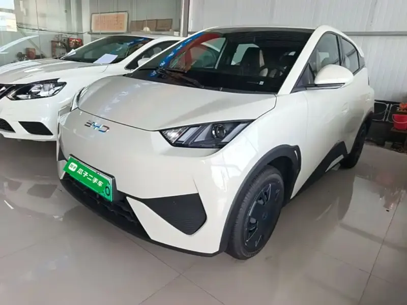 BYD Seagull, 2026
