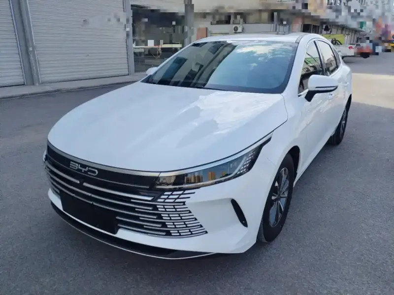 BYD Destroyer 05, 2024