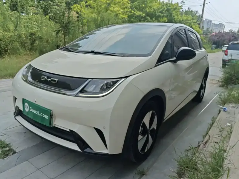 BYD Dolphin, 2023