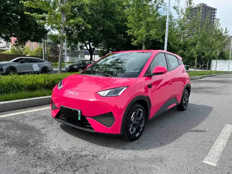 BYD Seagull, 2025